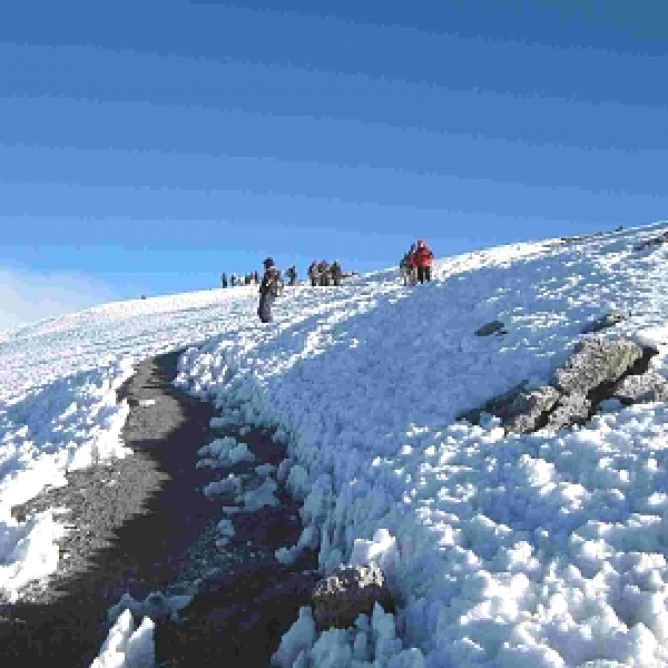 9 DAYS LEMOSHO ROUTE – KILIMANJARO TREKKING ADVENTURE